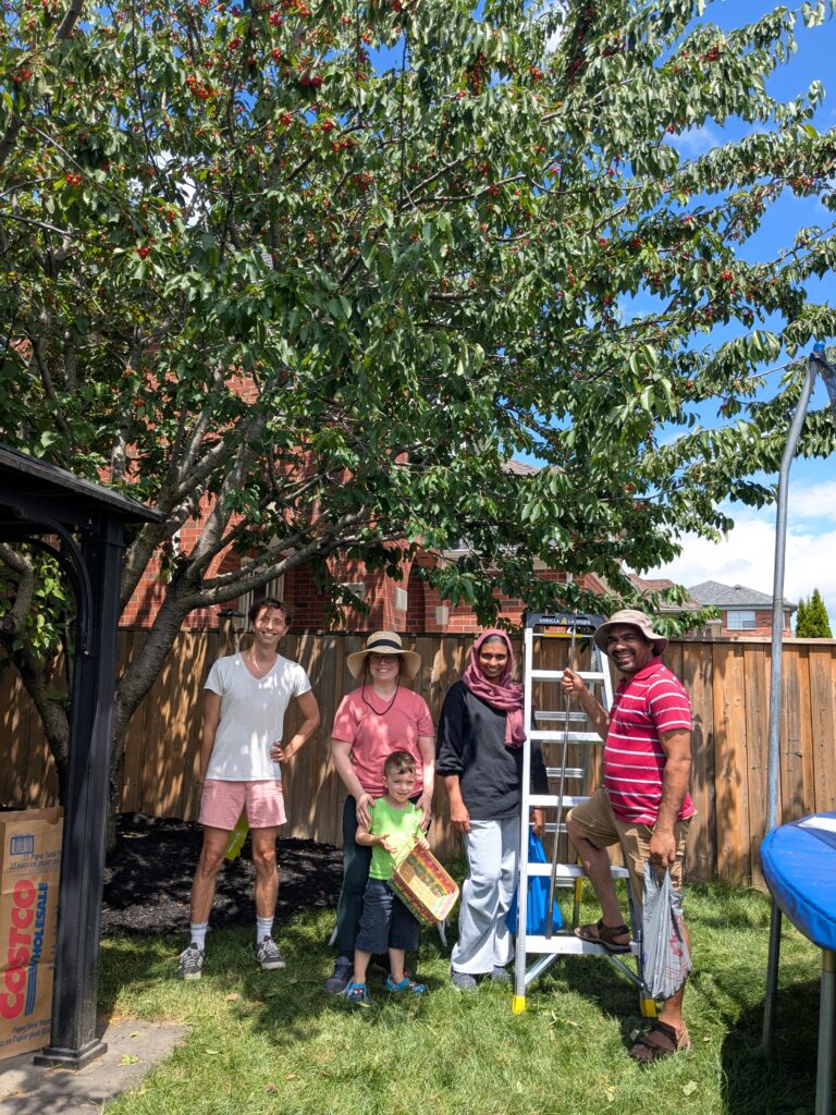 a group of people standing in front of a backyard cherry tree with a ladder on a bright, sunny day